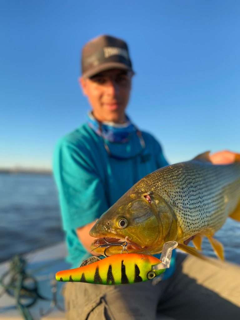 Imagen de WhatsApp 2023-05-19 a las 16.31.56